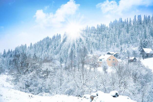 Beau paysage d'hiver à la campagne