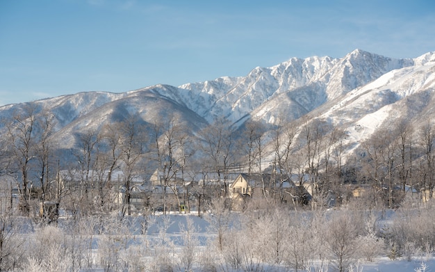 Beau paysage d'hiver de montagne