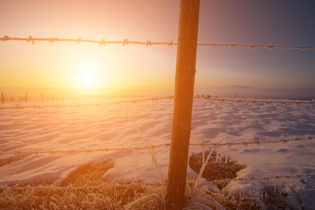 Beau paysage d'hiver pendant le coucher du soleil sur un champ couvert de neige