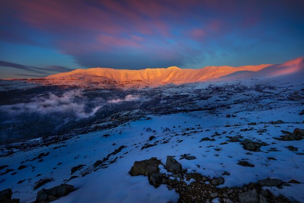 Le beau paysage d'hiver