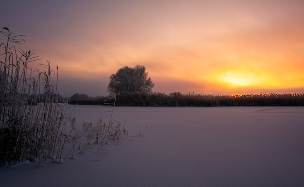 Beau paysage d'hiver