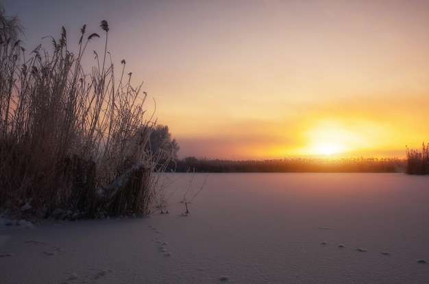 Beau paysage d'hiver