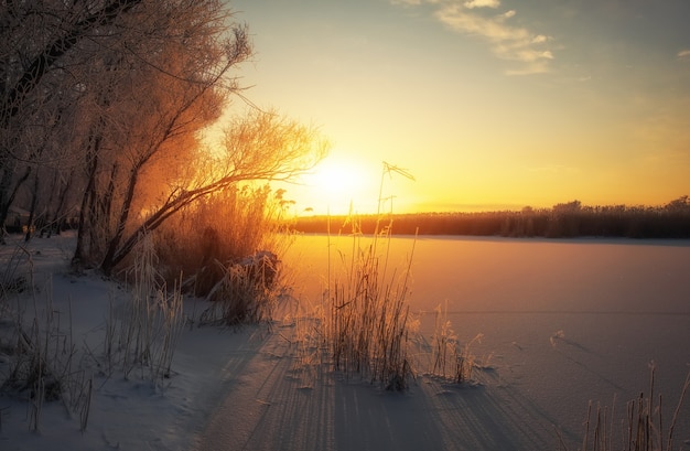 Beau paysage d'hiver