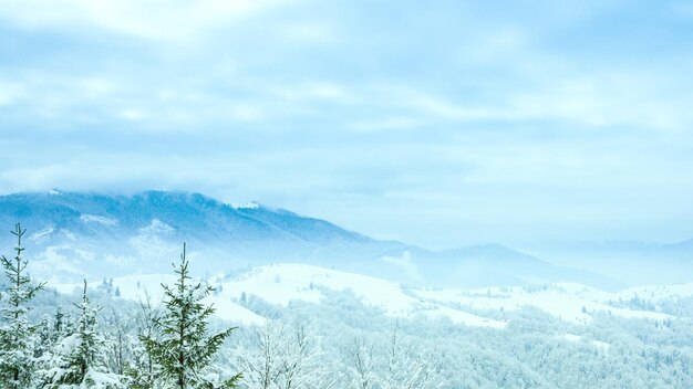 Beau paysage d'hiver