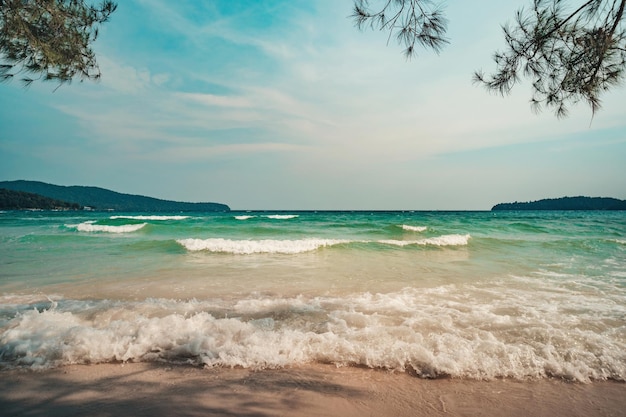 Beau paysage d'île tropicale avec une mer turquoise de sable jaune avec des vagues blanches et des conifères suspendus au-dessus de la plage