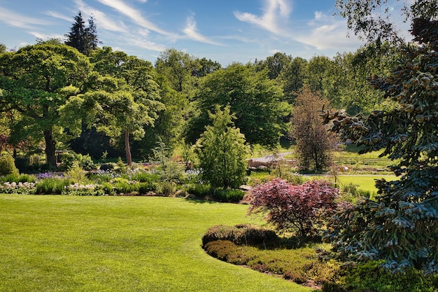 Un beau paysage de jardin avec une verdure luxuriante