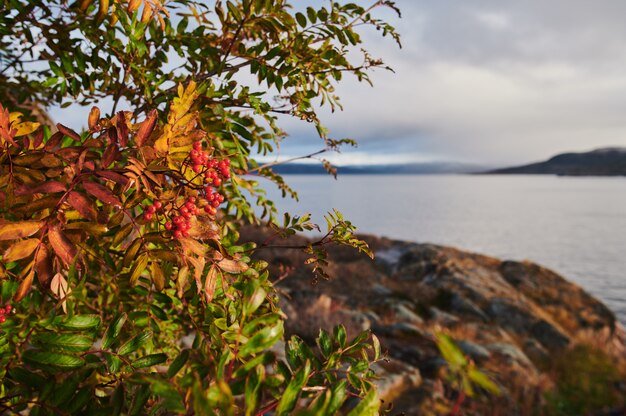 Beau paysage de jour d'été abandonné artnature défense côtière North Teriberka, vue sur la mer de Barents.