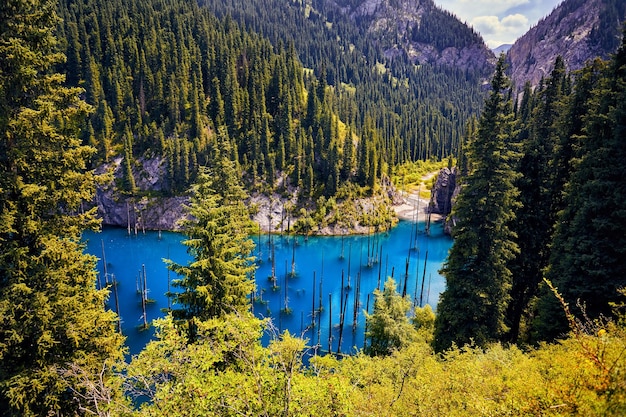 Beau paysage de lac de montagne