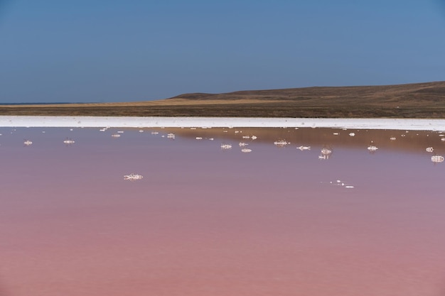 Beau paysage d'un lac salé rose