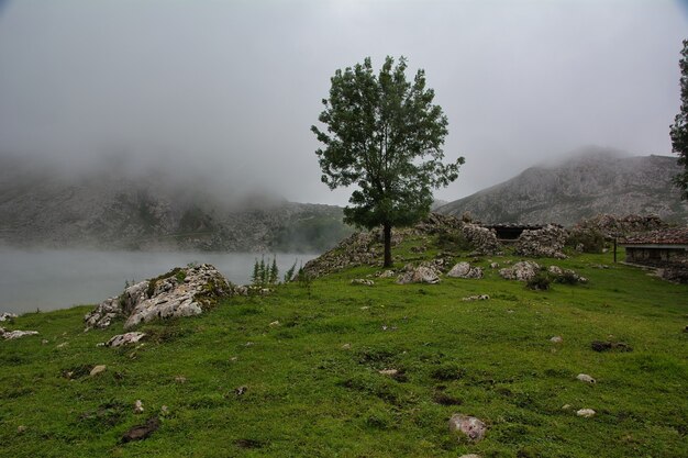 beau paysage des lacs de covadonga dans les asturies en espagne lac enol lac ercina