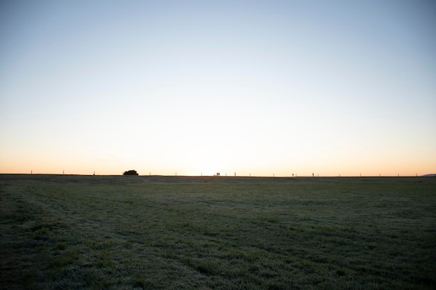 Beau paysage de lever de soleil avec champ de pâturage givré en hiver à galway irlande