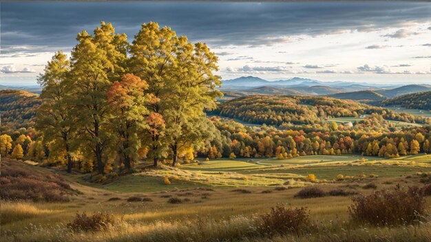 Beau paysage luxuriant de la vallée d'automne