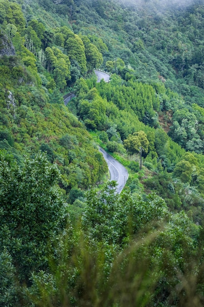 Beau paysage de Madère