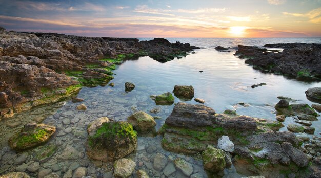 Beau paysage marin. Composition de la nature.