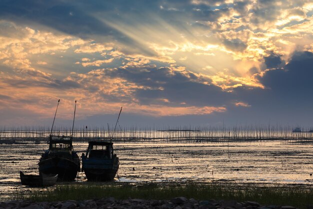 Beau paysage marin de la vasière au coucher du soleil