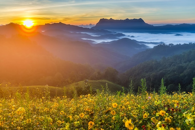 Beau paysage le matin à Doi Luang Chiang Dao Chiang Mai Thaïlande