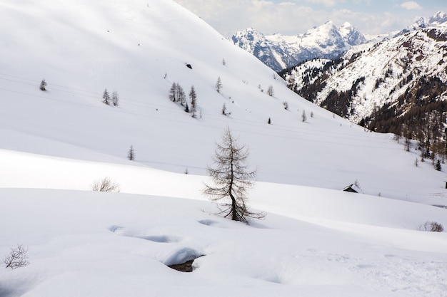 Beau paysage de montagne dans les Alpes italiennes.