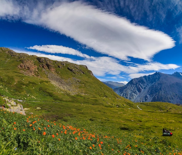 Beau paysage de montagne avec fleurs et ciel bleu