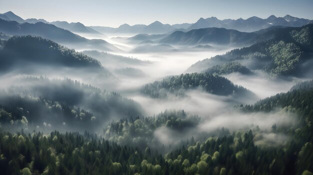 beau paysage de montagne avec forêt et brouillard AI générative AI généré