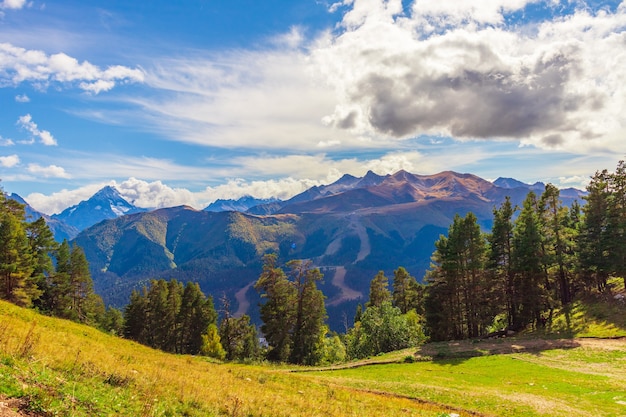 Beau paysage de montagne, forêt et nuages