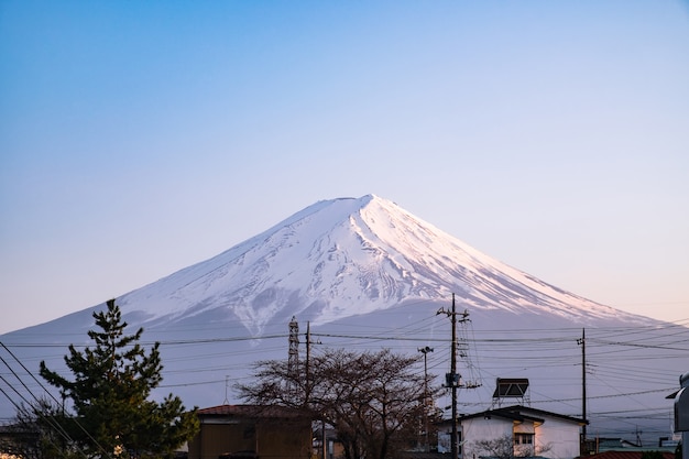 Beau paysage avec la montagne Fuji au Japon