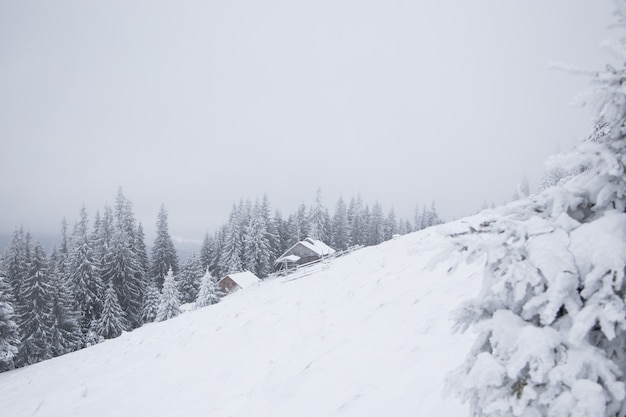 Beau paysage de montagne d'hiver. Chalet dans les montagnes en hiver. Paysage d'hiver avec de la neige fraîche dans une forêt de montagne.