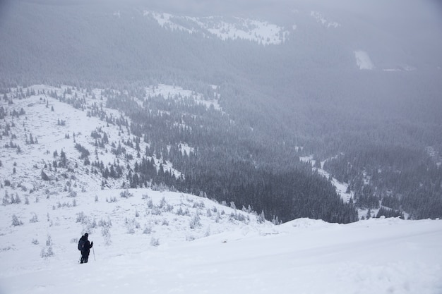 Beau paysage de montagne d'hiver. Paysage d'hiver avec de la neige fraîche dans une forêt de montagne