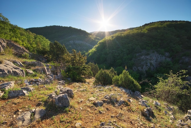 Beau paysage de montagne à la lumière du jour