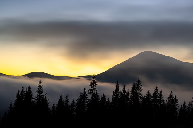 Beau paysage de montagne avec des pics brumeux et une vallée boisée brumeuse au coucher du soleil.