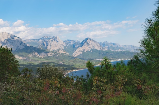 Beau paysage de montagne Rochers avec des pins au premier plan et un ciel bleu