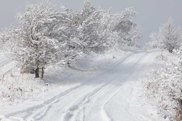 beau paysage de montagne avec route enneigée