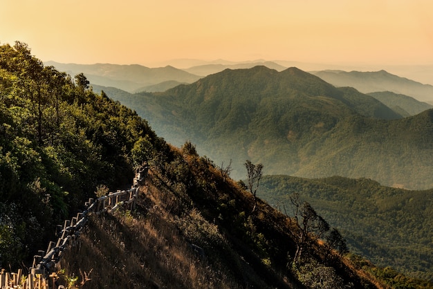 Beau paysage de montagne verte avec des nuages ​​de brouillard et de ciel doré.