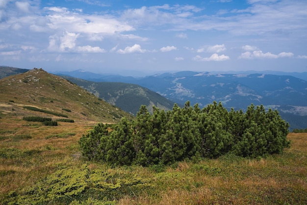 Beau paysage de montagnes des Carpates en Ukraine