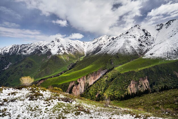 Beau paysage de montagnes