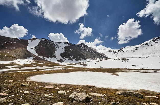 Beau paysage de montagnes