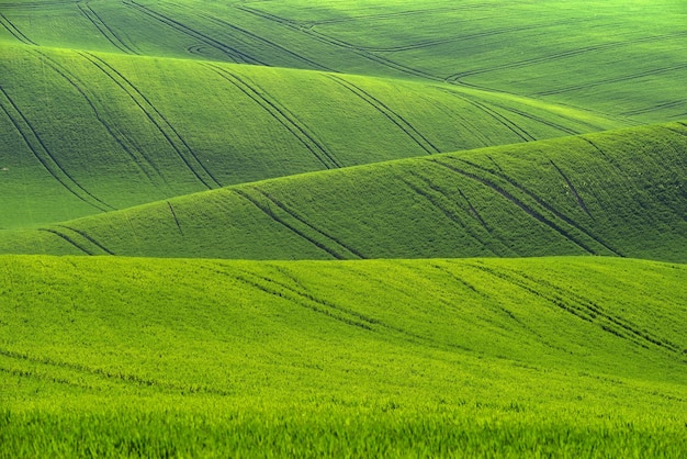 Beau paysage avec nature printanière Vagues sur le terrain Moravie du Sud Moravie Toscane République Tchèque Europe