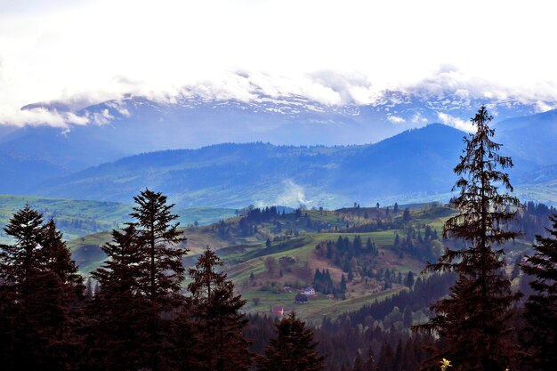 Beau paysage de nature en terrain montagneux. Carpates. Ukraine