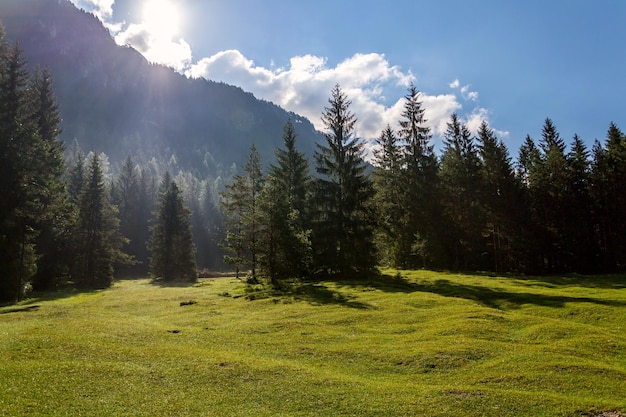 Photo beau paysage naturel au lac pillersee avec forêt profonde et montagne seehorn sankt ulrich am pillersee autriche journée d'été ensoleillée
