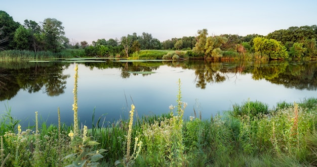 Beau paysage naturel, ciel bleu clair, arbres, buissons et plantes vertes autour