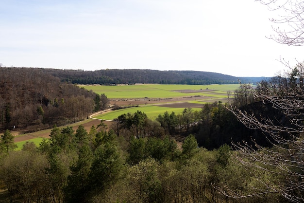 Beau paysage naturel environnement nature sauvage matin