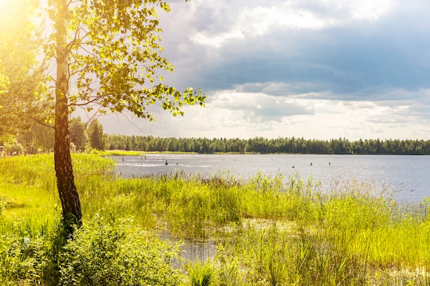 Beau Paysage Naturel Avec Lumière Du Soleil Et Paysages De Nuages Pluvieux Avec Herbe Verte Des Arbres Du Lac Et Sk...