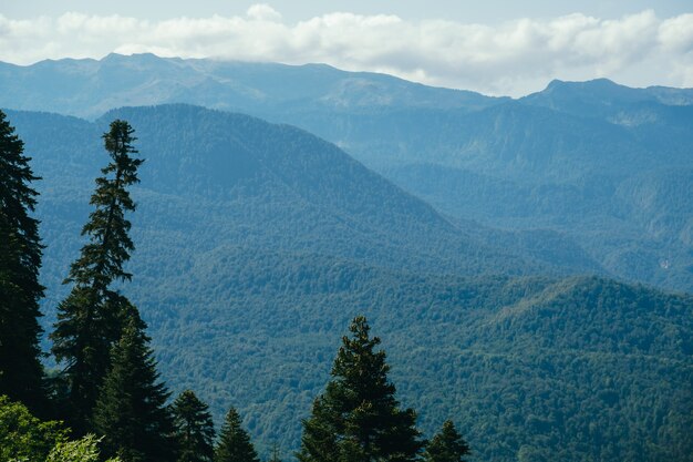 Beau paysage naturel avec des montagnes et des arbres du Caucase