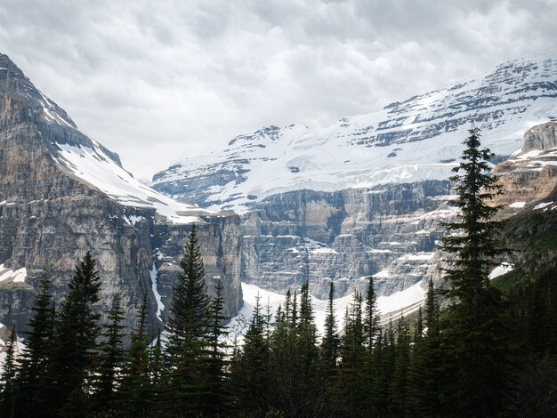 Beau paysage naturel en plein air