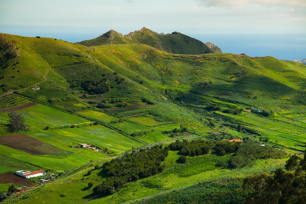 Beau paysage naturel à Tenerife, Espagne. Incroyable nature sauvage en Europe.