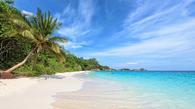 Beau paysage naturel de vague de sable de mer de noix de coco de ciel bleu sur la plage, bord de mer tropical en été, voyage en Asie sur l'île de Koh Miang dans le parc national de Mu Ko Similan, Phang Nga, Phuket, Thaïlande, 16:9