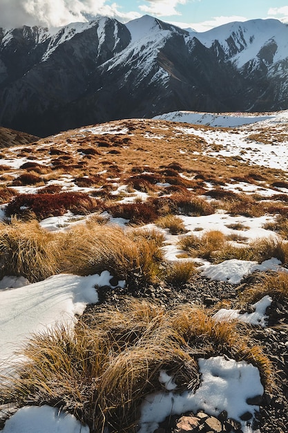 Beau paysage de neige Promenades ensoleillées dans les montagnes de neige en Nouvelle-Zélande