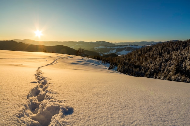 Beau paysage de Noël d'hiver. Chemin de piste de l'empreinte humaine dans la neige cristalline blanche profonde à travers un champ vide, collines sombres boisées à l'horizon au lever du soleil sur fond d'espace de copie de ciel bleu clair.