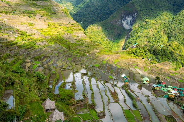 Beau paysage et panorama patrimoine mondial Ifugao ancestral