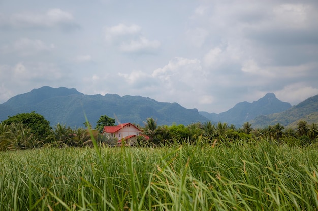 Beau paysage panoramique en plein air de montagnes et grand lac vert Sam Roi Yot Thaïlande Photographie exotique de nature de montagne de Thaïlande Montagne dans la province de Thaïlande avec une nature tropicale étonnante