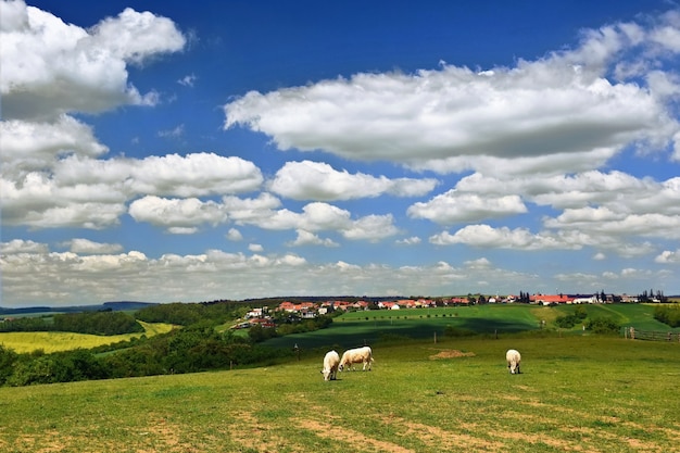 Beau paysage. Paysages naturels avec le ciel et les nuages. République Tchèque.